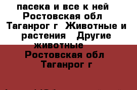 пасека и все к ней - Ростовская обл., Таганрог г. Животные и растения » Другие животные   . Ростовская обл.,Таганрог г.